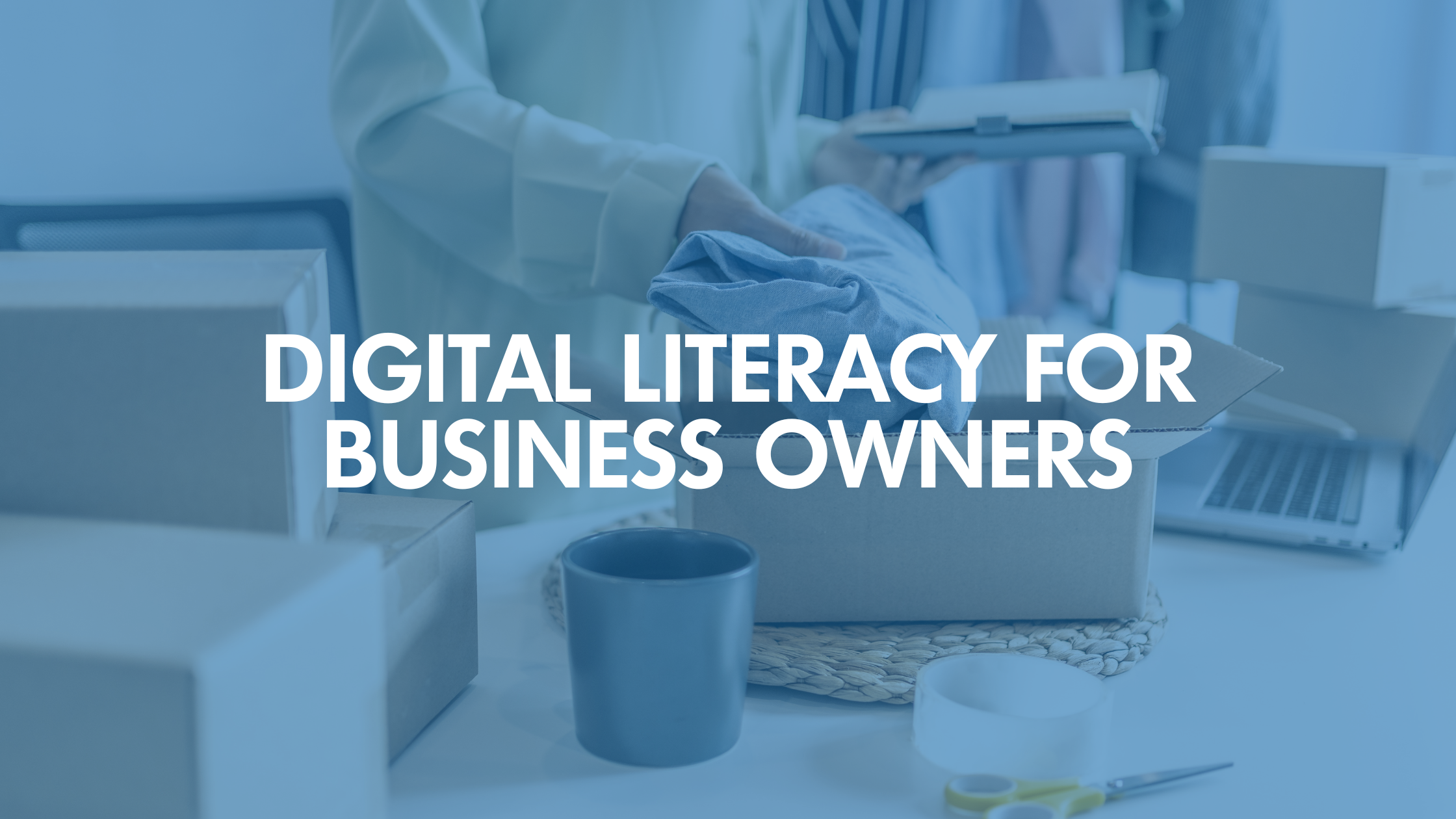 Digital Literacy for Business Owners