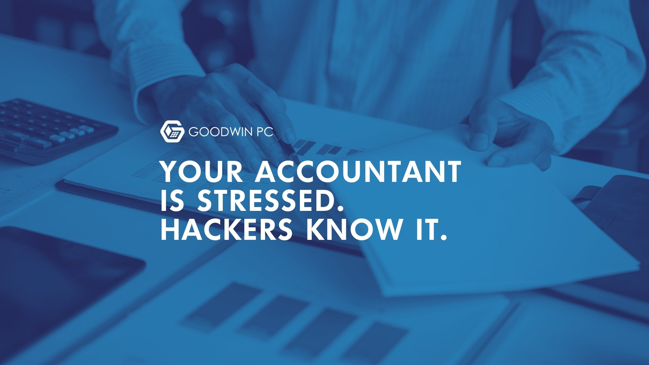 Your Accountant Is Stressed. Hackers Know It.