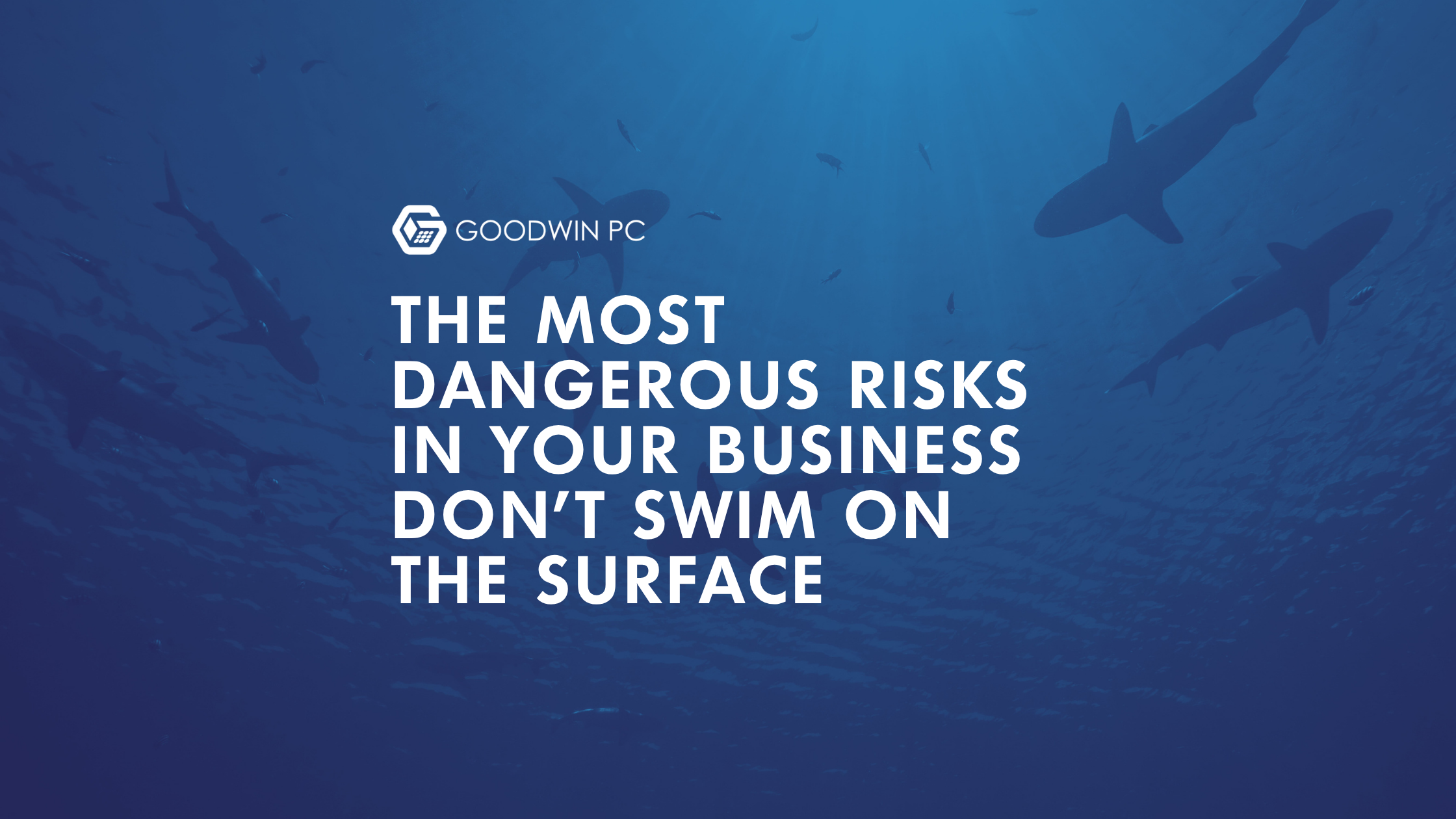 The Most Dangerous Risks in Your Business Don't Swim on the Surface