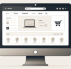 E-Commerce Platforms: A Gateway for Small Business Growth